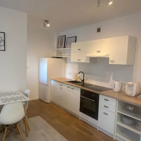 公寓 Apartament Centrum Ii *