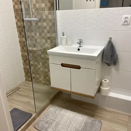 Apartament Centrum Ii 公寓 *
