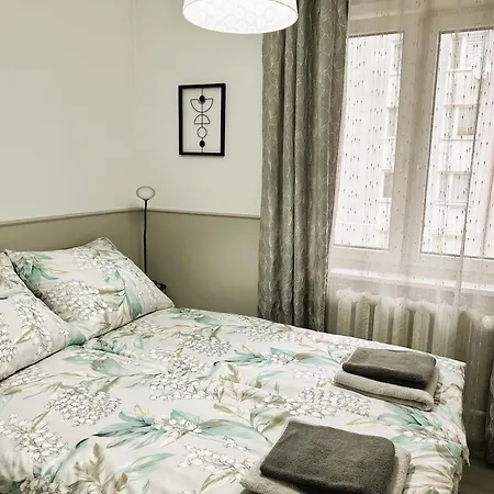 公寓 Apartament Centrum Ii *