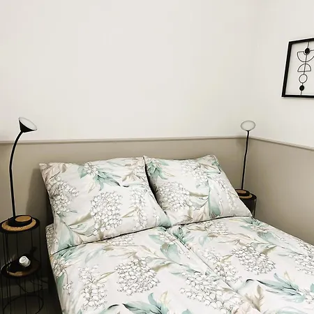 公寓 Apartament Centrum Ii