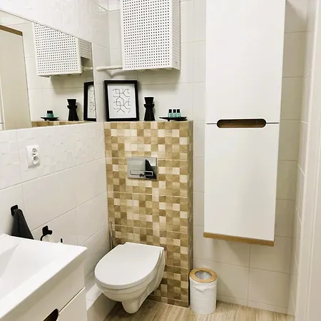 公寓 Apartament Centrum Ii *